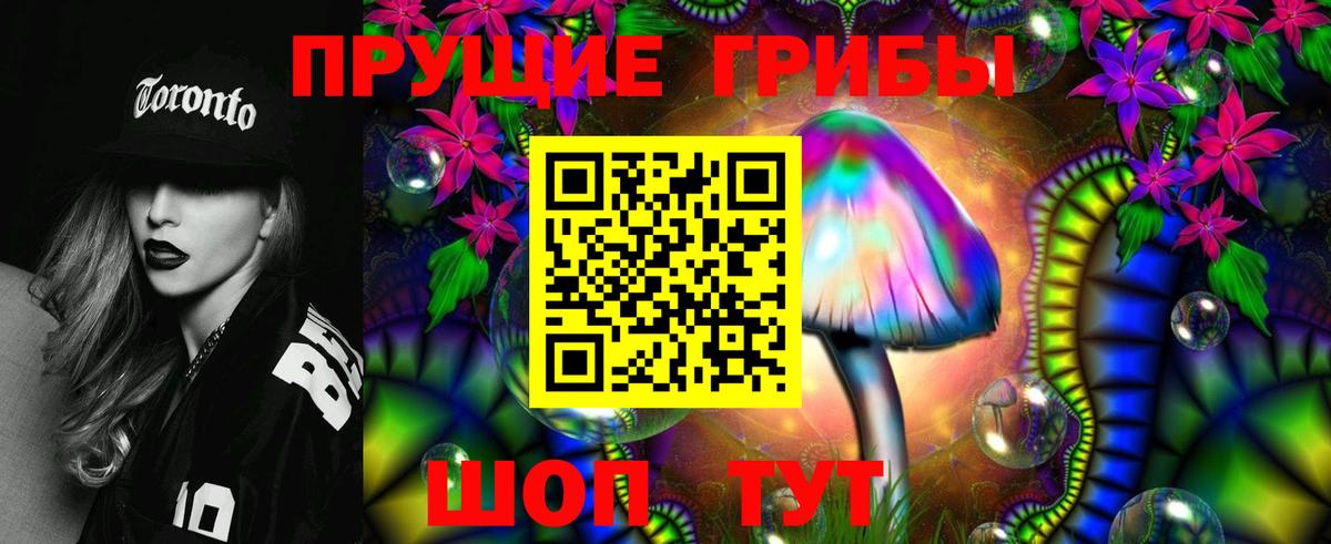 сколько стоит  Вход с VPN  Шахты  Псилоцибиновые грибы мицелий 